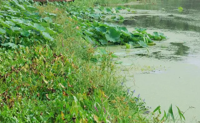 北京周边有哪些适合周末自驾游的地方？