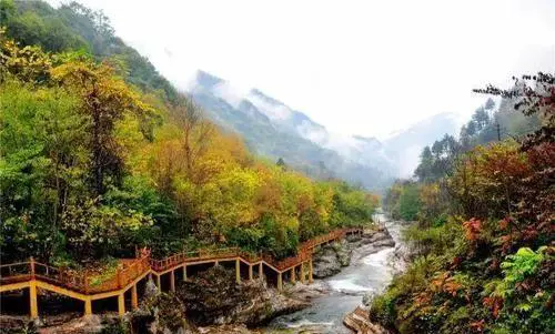 宝鸡黄柏塬景区怎样？