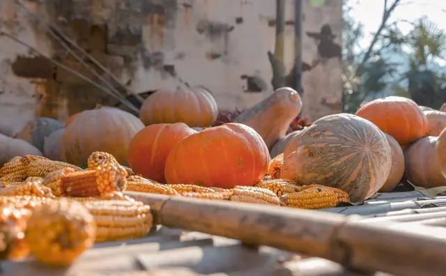 退休了，什么旅游方式最好？