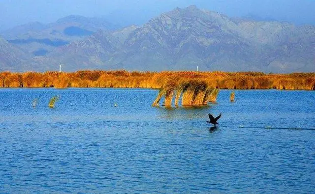 去西北自驾,什么车比较合适?