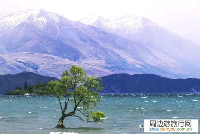 去新西兰旅游什么线路值得推荐？几月出游合适？