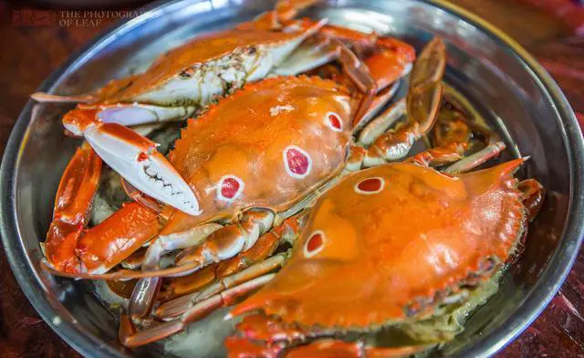 海南有哪些渔港码头？