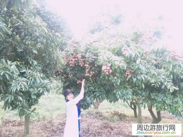 广东惠州罗浮山好玩吗？