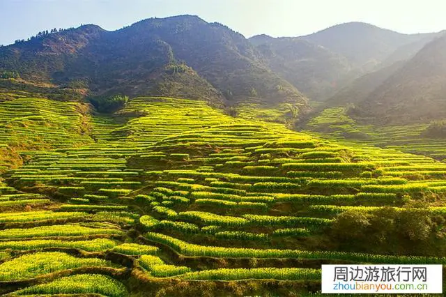 7月份高考结束后想自驾去安徽江西旅游可以吗？