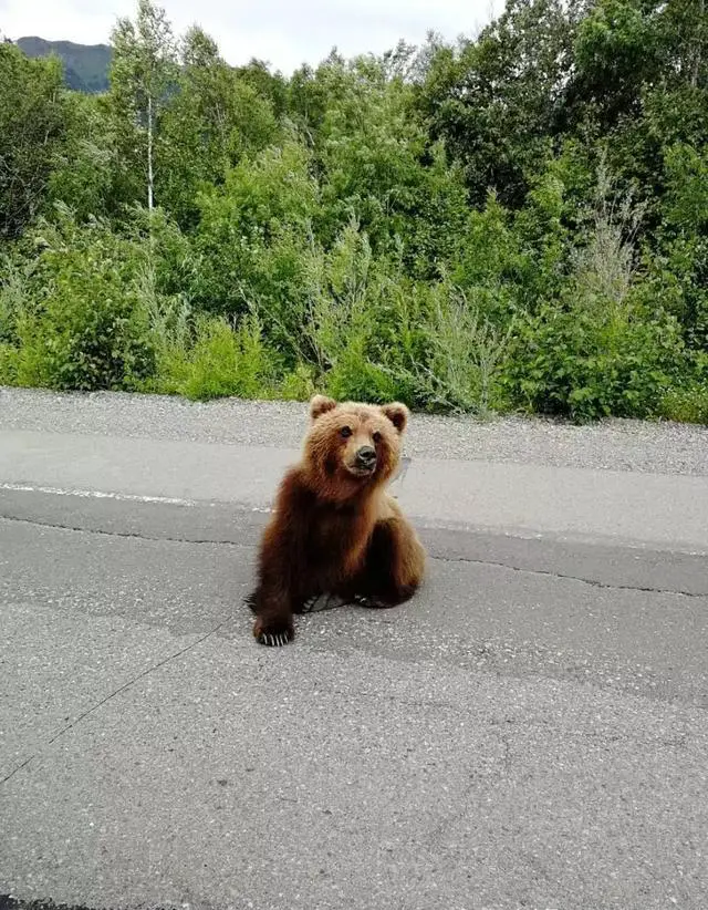 想从哈尔滨出发游览俄罗斯的远东地区,除了海参崴还有其他哪些值得一去的城市?
