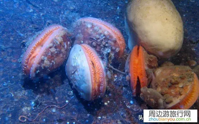 去瑞典旅游，要注意些什么？有哪些不能错过的地方？