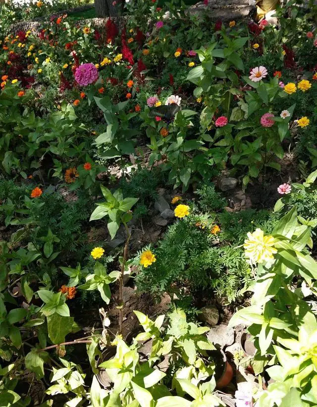 七月天气比较热，去哪里旅游更适合避暑，景色也赏心悦目？