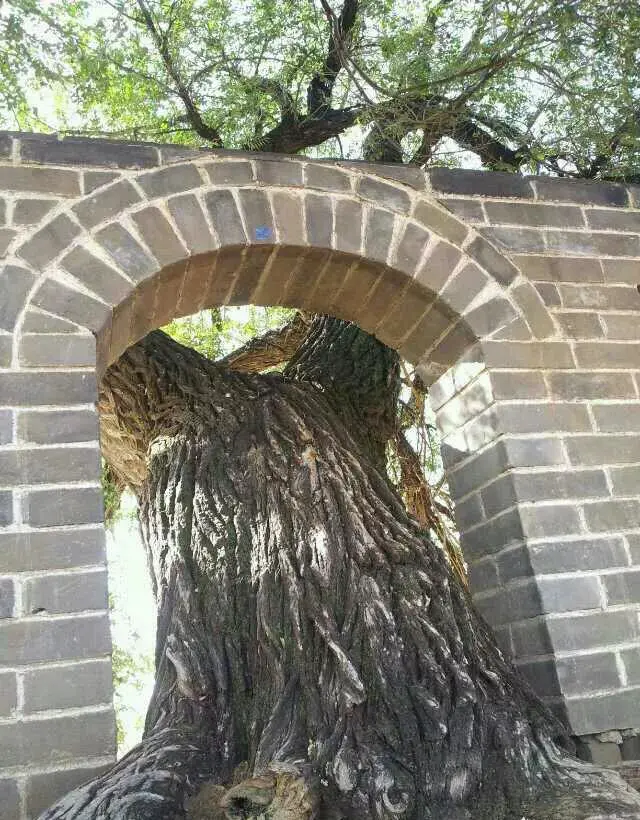 山西除了平遥古城、乔家大院,还有什么特色景点?