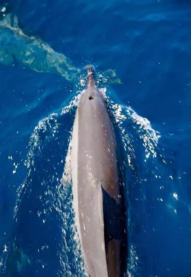 花莲旅游怎么样？