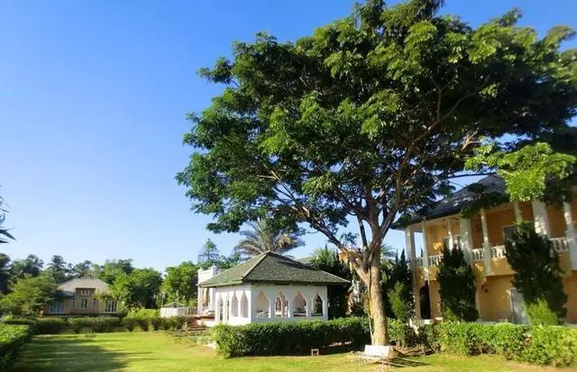 去东南亚旅游，不太喜欢海岛，有什么推荐？