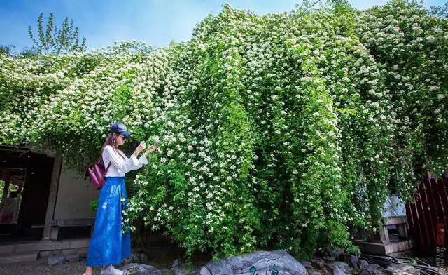 济南天下第一泉风景区好玩吗,值得专门去吗?