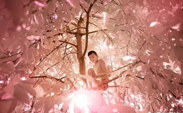 现实存在黑白色的景色吗？