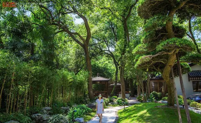 暑假带孩子去杭州，有什么地方推荐？