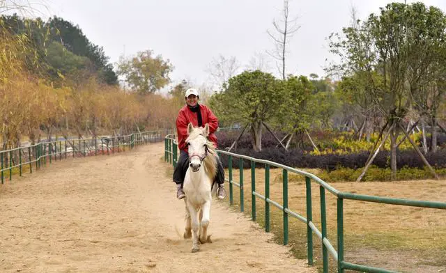 武汉木兰草原和木兰水镇哪个好玩？