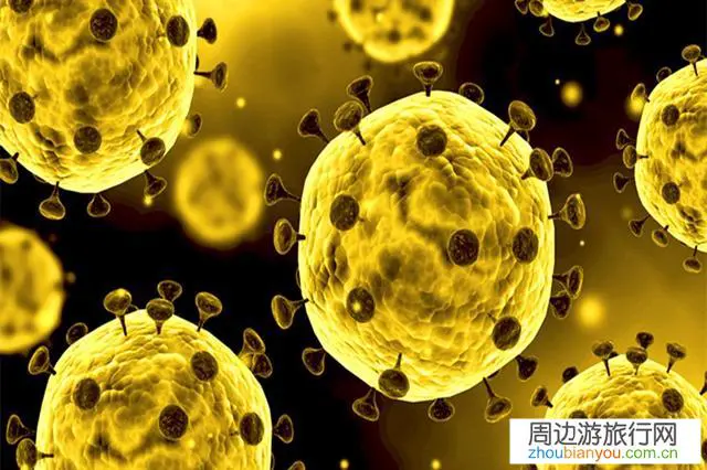 杭州所有寺庙景点不开放，别的城市呢？张家界景点关闭了吗？