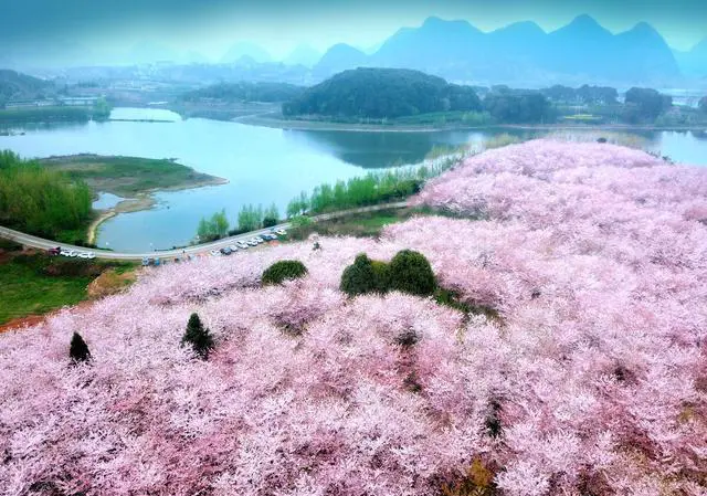 贵州省有哪些著名景区？