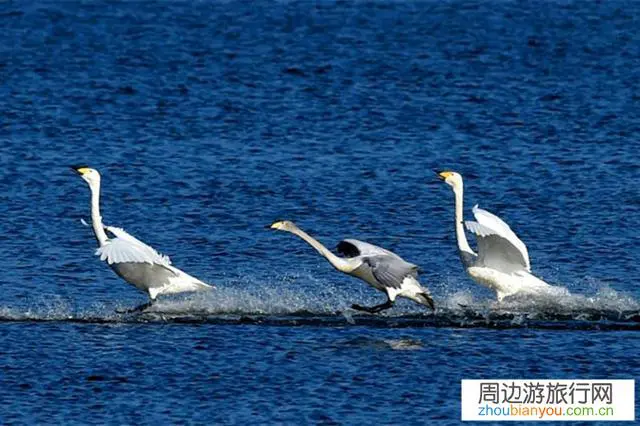 三门峡和三峡都是著名的风景游览区，你觉得哪的风景更好看？