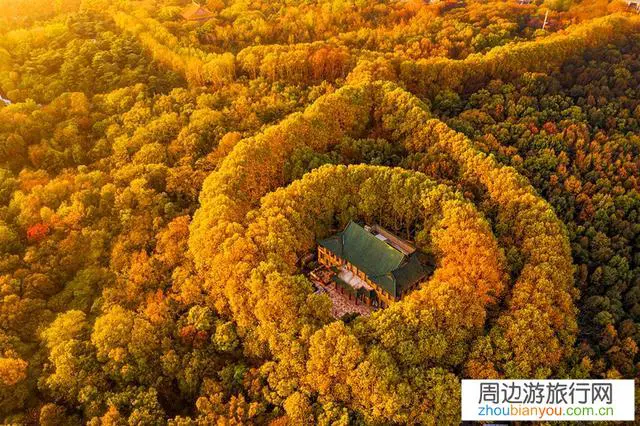 苏州、杭州和南京这三座城市，比旅游谁会略胜一筹？