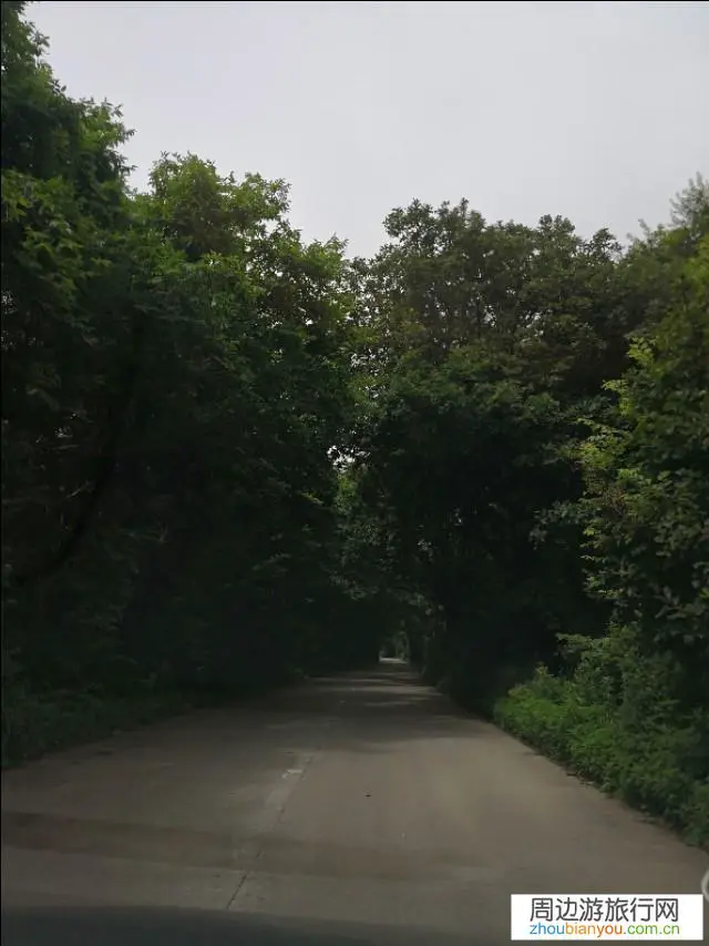 恢复跨省团队旅游了,暑假你准备去哪里?参团还是自驾?