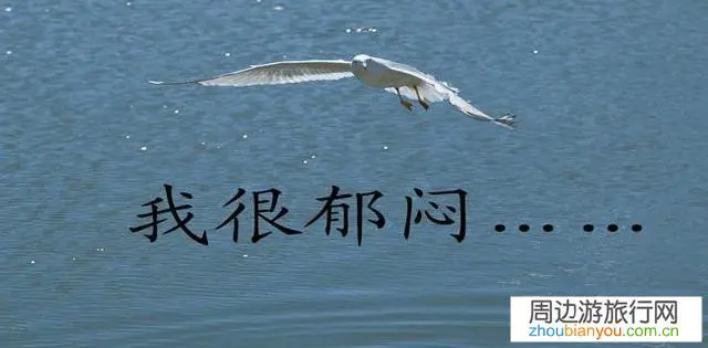 今年暑假还能带娃出门旅行吗？有风险吗？