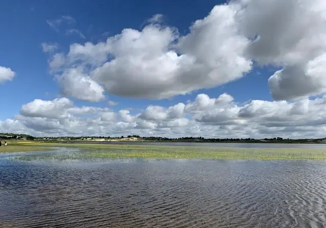 想带孩子去内蒙古看草原，从北京出发，去哪里看比较好？