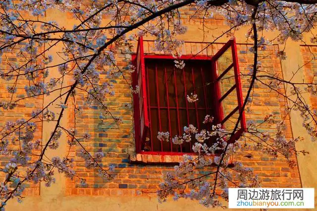 武汉大学拒绝了援助湖北的医护人员去看樱花的愿望，大家怎么看？