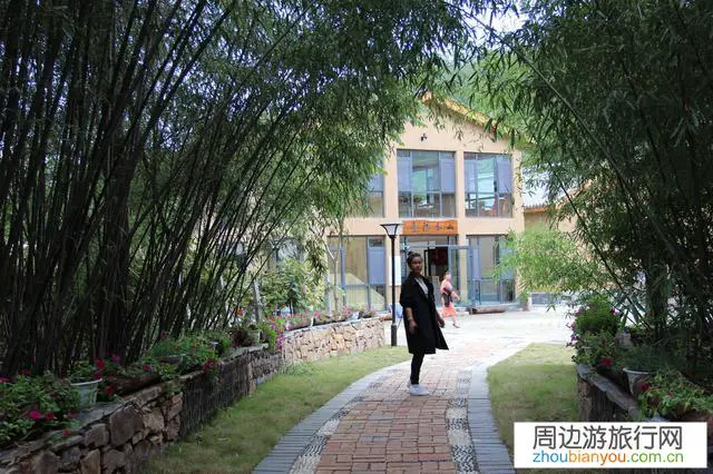 你们平时喜欢去哪里旅游？