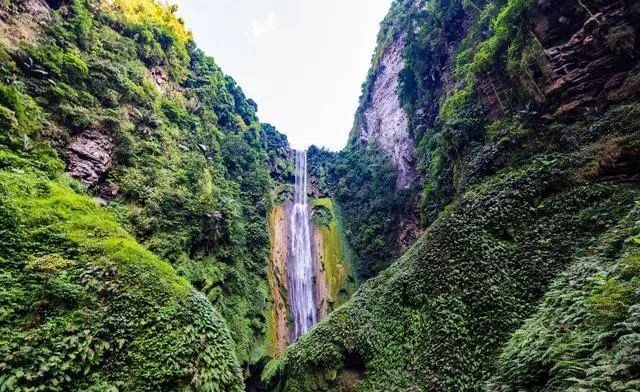 广西靖西有什么好玩的景点？