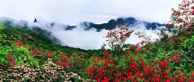 4至5月适合去哪里踏春旅游?