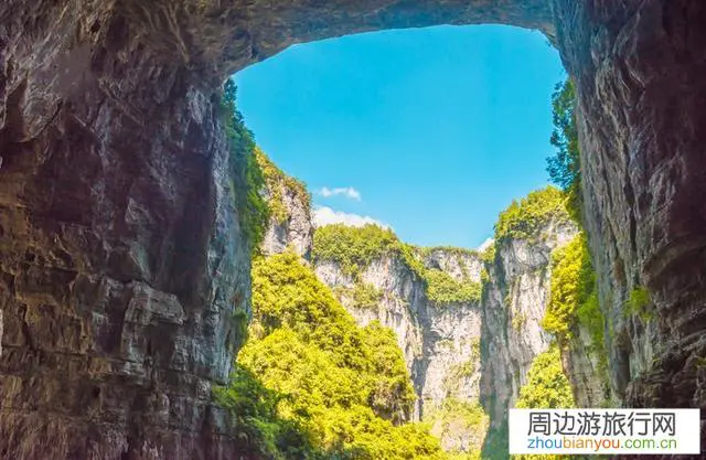 今年下半年还有恢复旅行社跨省旅游业务的希望吗？