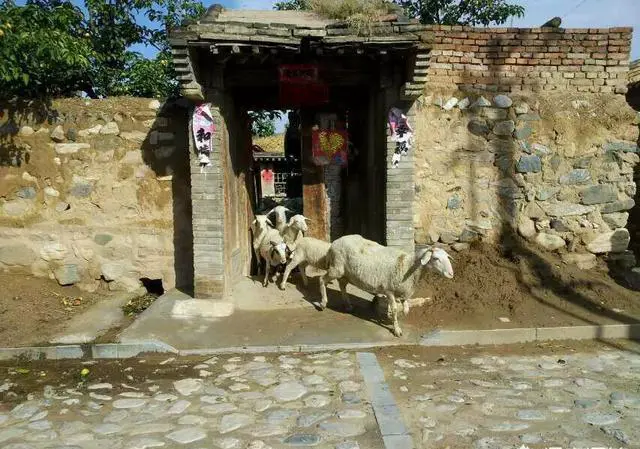 想从北京出发自驾去山西平遥古城玩，有什么路线推荐？