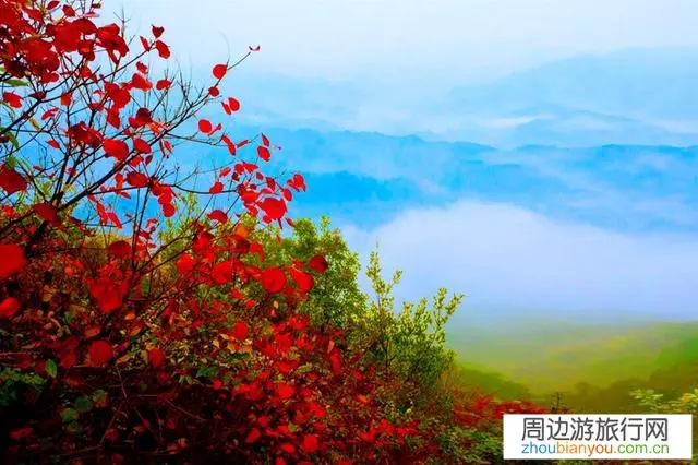 11月份从湖北襄阳出发，哪里最有秋意？问自驾走哪条线可以看到风景？