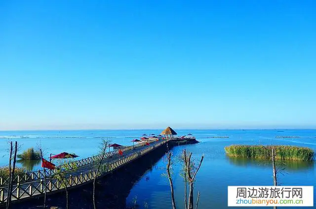 呼和浩特这个城市怎么样？