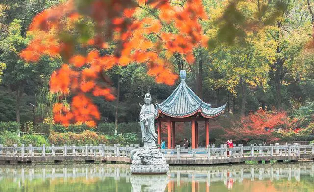 从常州到武汉自驾游攻略