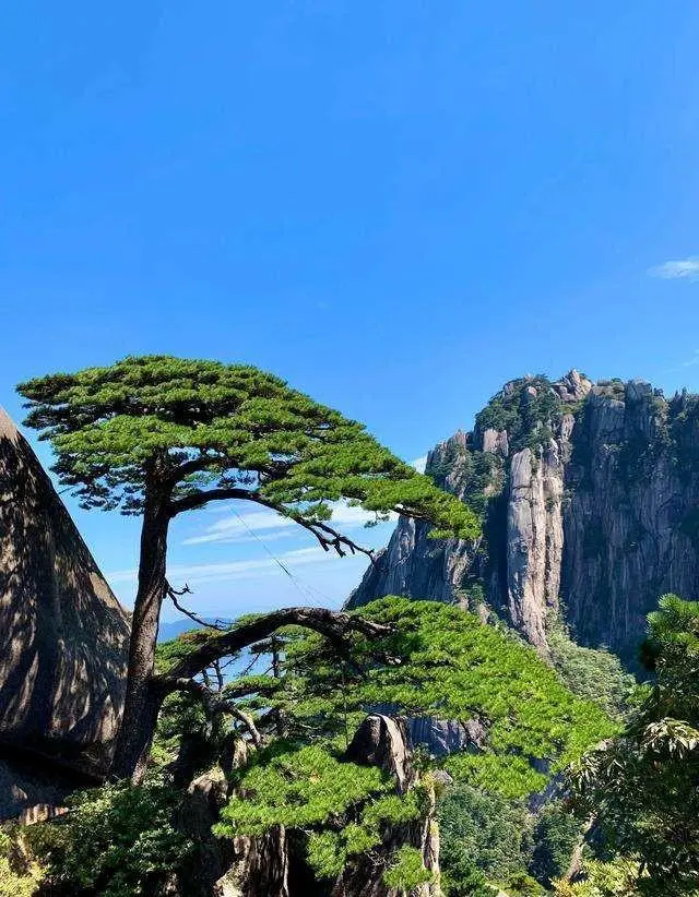 你认为50岁前一定要去的10个地方有哪些？