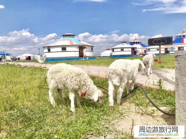 呼伦贝尔有哪些适合四五十人的多人团的旅游路线或方案？
