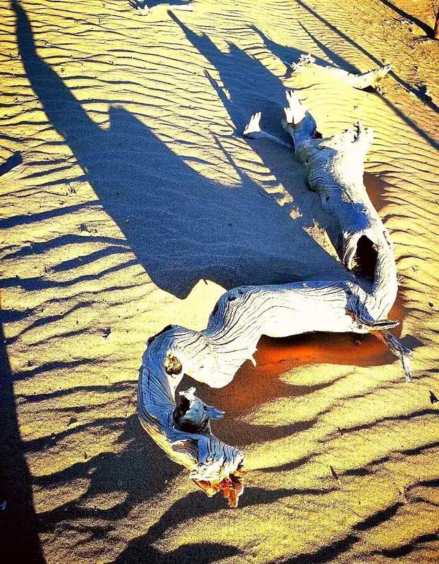 夫妻俩一起去旅行是一种什么体验？