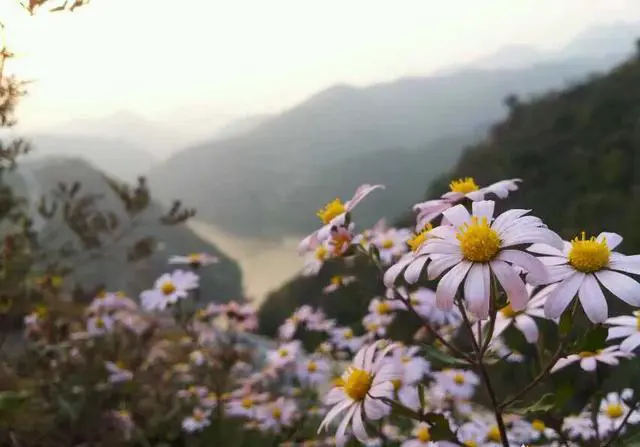 北京周边有哪些适合周末自驾游的地方？