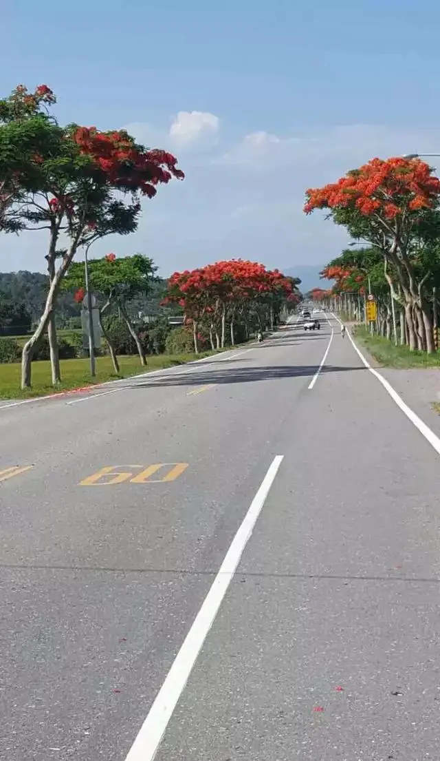 弯弯环岛自由行有什么旅游攻略吗？