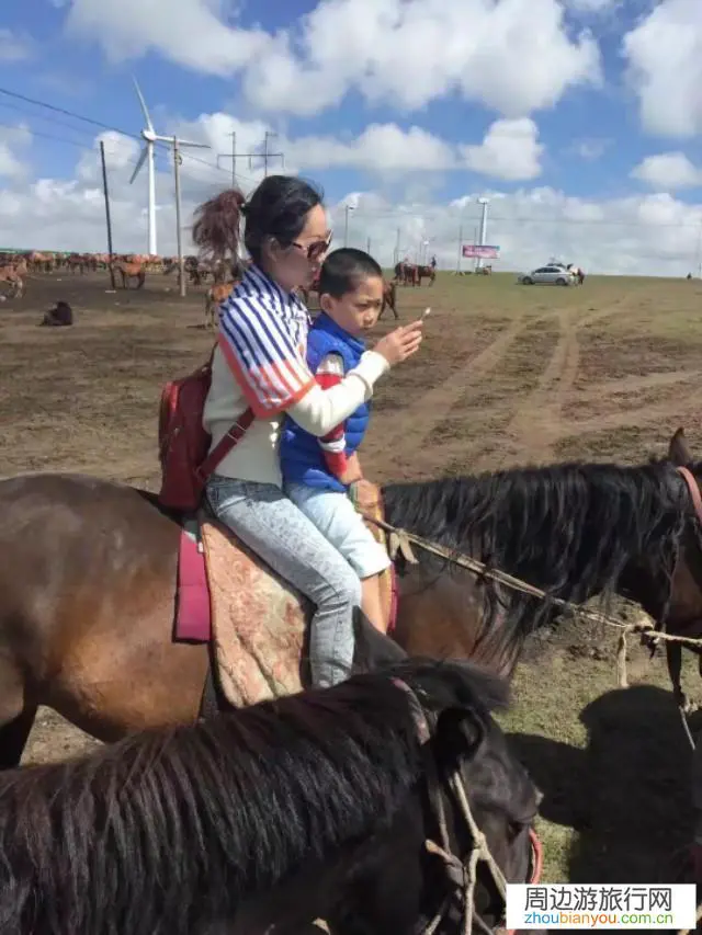 怎么去内蒙古旅游？