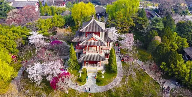 青龙寺樱花园具体位置在哪?