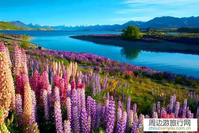 去新西兰旅游什么线路值得推荐？几月出游合适？