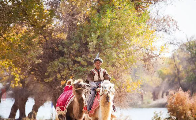 新疆胡杨林在哪里看最好？