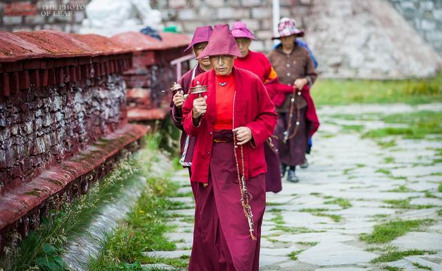到林芝自驾游有哪些不错的景点？