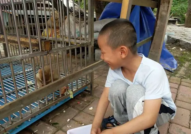 外出旅游，您愿意带小孩吗？有什么建议呢？