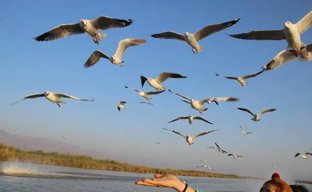 一个人的旅行，你会去哪里呢？