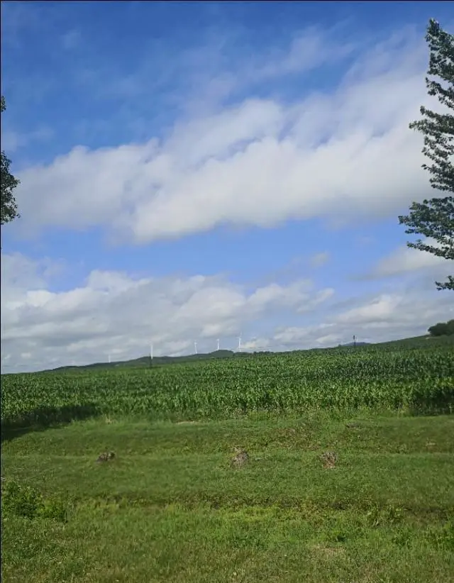 “自驾游”应注意哪些安全问题？怎样安排才能游得惬意？