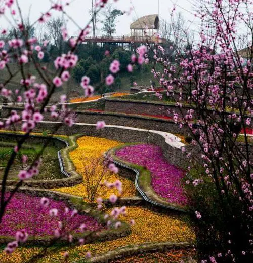 周末想去郊游,重庆郊区有哪些好玩的地方推荐?