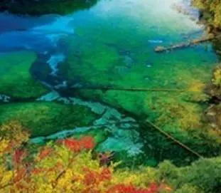 现在去九寨沟旅游需要预约吗？