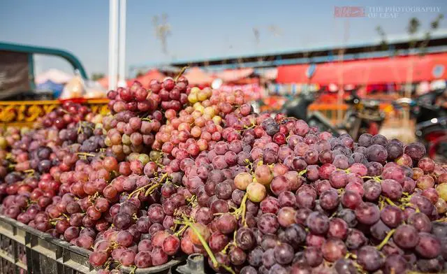 新疆的土特产有哪些？